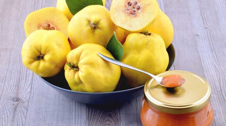 ساعت10/ماده غذایی که به اختلالات زنانه کمک می کند/ فواید فراوان  گیاهی زیبا بر سلامت بدن