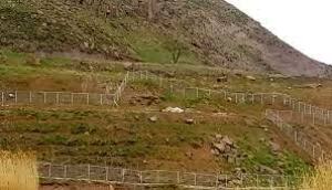 کشف زمین خواری ۳۰۰ میلیونی در اسفراین