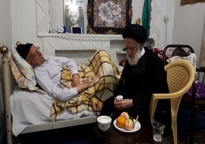 آیت الله شبیری زنجانی از آیت الله امینی عیادت کرد
