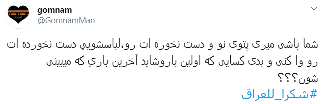#شكرا_للعراق/ تشکر زوار اربعین ازمهمان&zwnj;نوازی جانانه عراقی&zwnj;ها