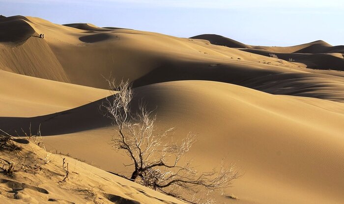راهنمای سفر به کویر خارتوران؛ سفر به آفریقای ایران