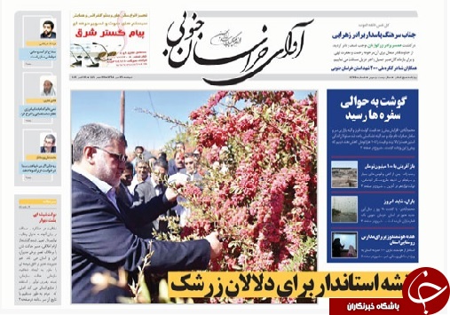 تیر