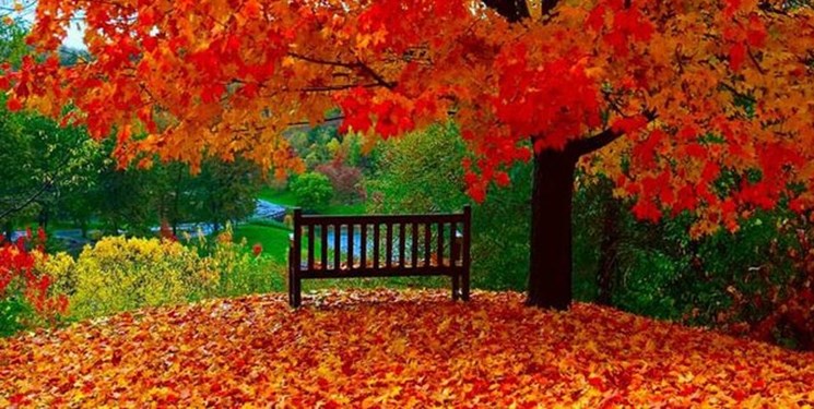 چگونه در فصل پاییز سلامت باشیم؟//////ثباتی