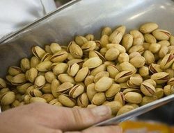 ماجرا‌های عجیب و پیچیده قاچاقچیان در گمرک + فیلم