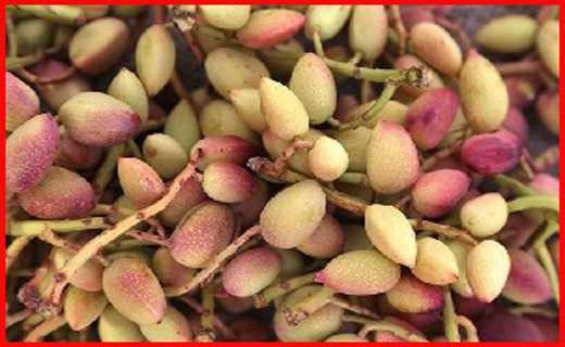 جذاب&zwnj;ترین