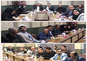 با کار‌های مشترک از قابلیت‌ها و پتانسیل‌های همدیگر استفاده می کنیم