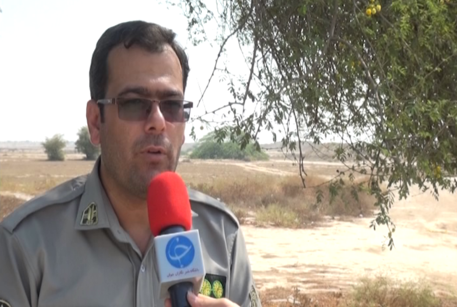 ۱۱۶ متخلف شکار و صید در بوشهر دستگیر شدند