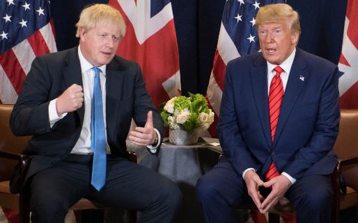 تصاویر روز: از دیدار ترامپ با بوریس جانسون در سازمان ملل تا جشن حافظان حیوانات در چین