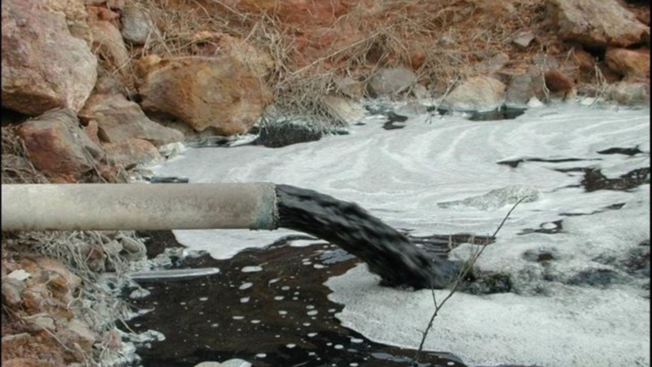 جلوه گری بیش از پیش کوه زباله میان جنگلهای سرسبز سراوان جلوه گری بیش از پیش کوه زباله میان جنگلهای سرسبز سراوان