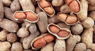 انواع بادام زمینی در طعم های مختلف چند؟ + قیمت