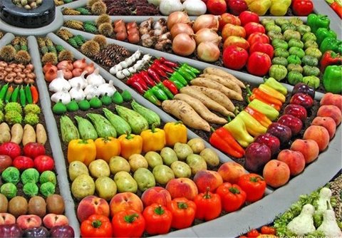 صادرات محصولات کشاورزی از ریل خارج شد/ توسعه کشاورزی راهی برای بی نیازی از درآمدهای نفتی