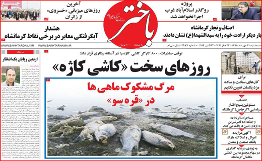 امید به زندگی در شرایط سخت/صادر کنندگان دست به عصا/ عزم جهانی برای نجات خلیج فارس