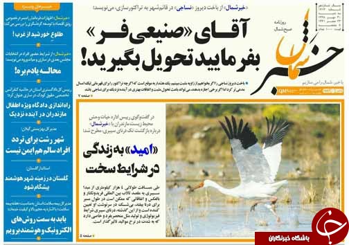 بازگشت تک درنای سفید سیبری به مازندران/هشدار درباره کودک آزاری مدرن