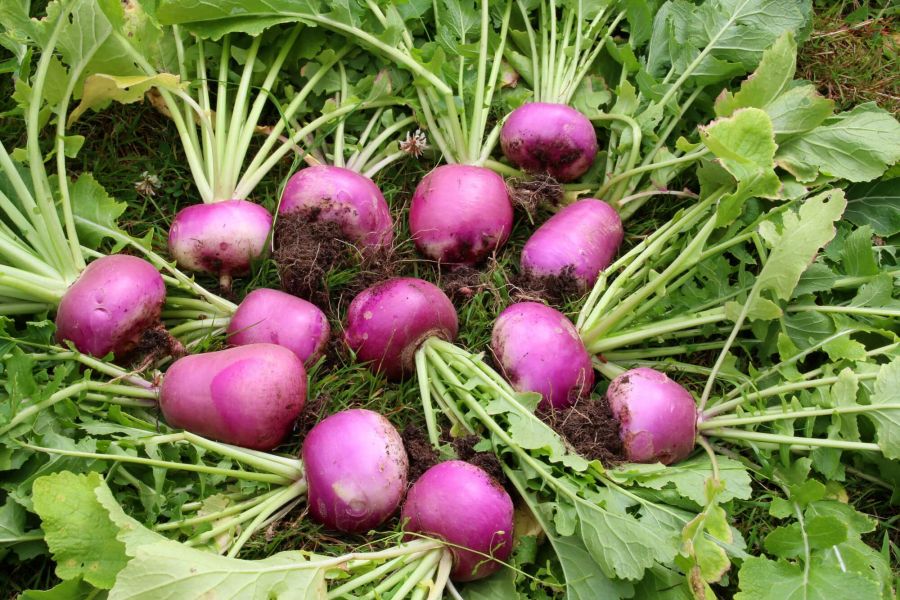 ساعت10
