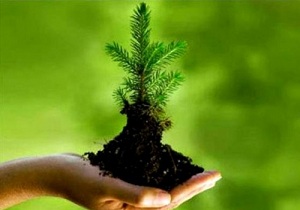 انجمن‌های زیست محیطی بازوان توانمند منابع طبیعی