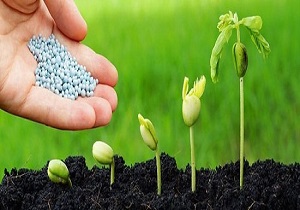 آشنایی با روش‌های مختلف تجاری‌سازی فرآورده‌های زیستی