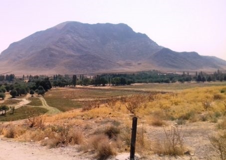 آبیاری قطره&zwnj;ای۱۱۰ هکتار زمین کشاورزی شازند همچنان منتظر بهره برداری