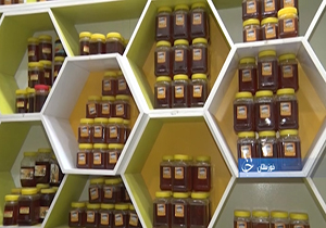 شیرین شدن کام زنبورداران خوزستانی + فیلم