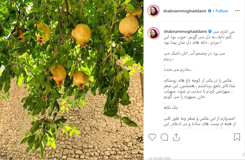 خواننده مشهور خندوانه : من سلبریتی نیستم / تصویری از مجری کودک شو و علی اوجی در سریال مرضیه/شباهت عجیب کودکی سپیده خداوردی با فرزندش