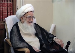 دیدار وزیر آموزش و پرورش با آیت‌الله صافی گلپایگانی