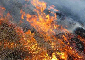آتش سوزی در سطح ۵۳ هکتار از مراتع شهرستان مهاباد