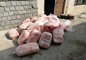 امحا نزدیک به تن پوست مرغ فاسد در سردشت