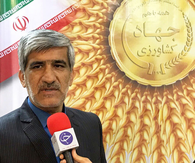 صدور ۷۰هزار سند مالکیت برای اراضی کشاورزی سیستان وبلوچستان