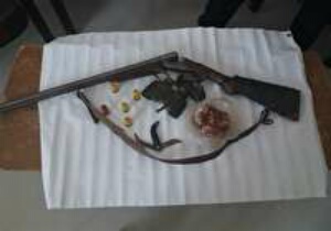 شکارچی قوچ وحشی دستگیر شد