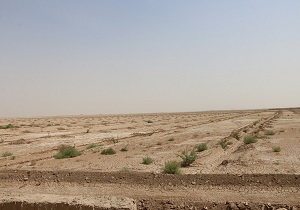 کانون‌های ریزگرد خوزستان به زیر کشت محصولات زراعی می‌روند