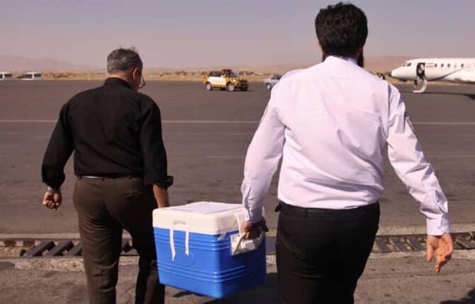 انتقال قلب زن ۳۶ ساله به کمک هواپیمای جت فالکون