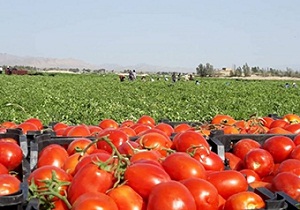 ویژه برنامه هفته دفاع مقدس در شاهرود اجرا شد
