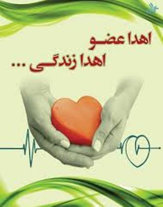 افزایش ۲۵ درصدی اهدای عضو در شمال شرق کشور