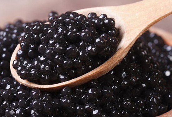 تولید ۳۴۰۰ تن گوشت ماهیان خاویاری و ۸۰۰ کیلوگرم خاویار در کشور