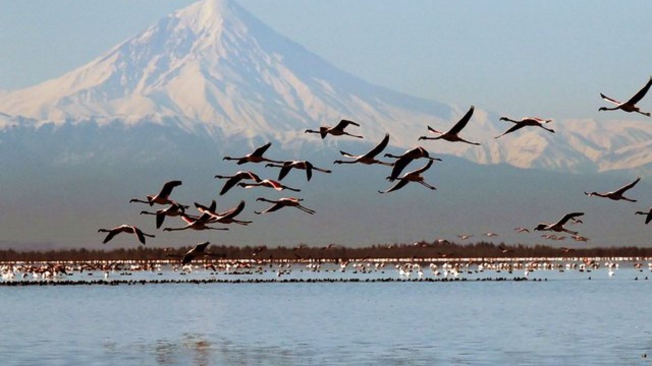 تغییر اکوسیستم تالاب میانکاله با انتقال آب دریای خزر