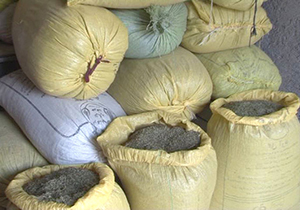 شناسایی باند بزرگ قاچاق گیاه دارویی در رستم