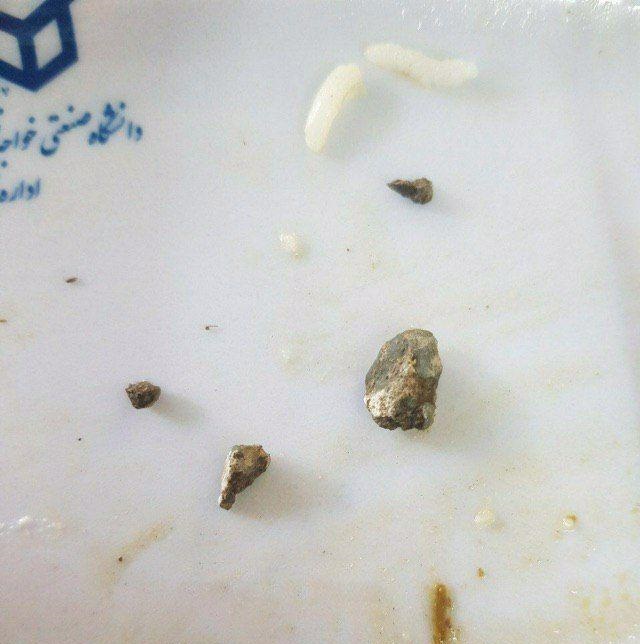 اشتباه پیمانکار جدید در دانشگاه