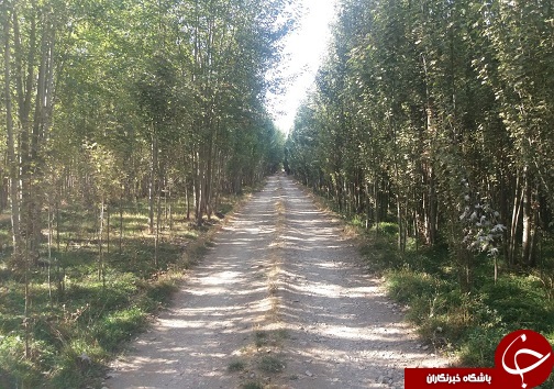 عکس دیدنی از طبیعت پاییزی در روستای ده چشمه