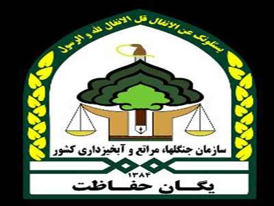 حفاظت از جنگل&zwnj;ها اولویت نخست منابع طبیعی کشور