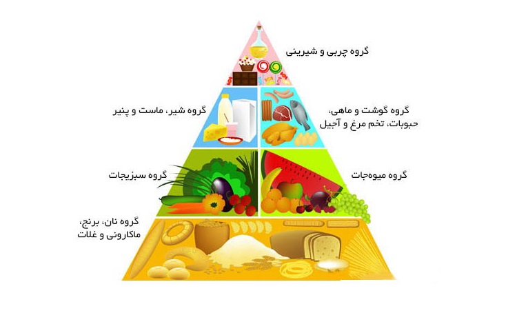 ۱۴ حقیقت علمی که دیگر صحت ندارند + تصاویر