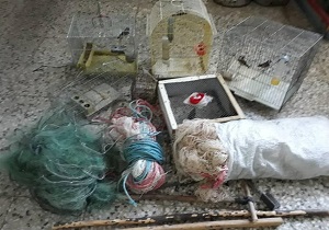 دستگیری ۳ صیاد غیر مجاز سهره طلایی در شهرستان خلخال