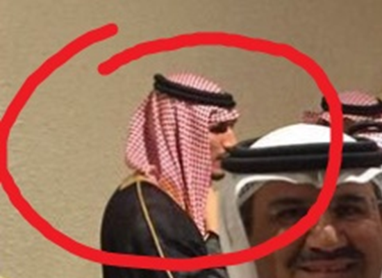 قاتل محافظ ملک سلمان فرزند یکی از مسئولان سعودی است + تصاویر