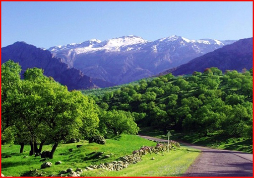 سفر به نیمه گرمسیری کهگیلویه و بویر احمد/ طبیعتی کمتر دیده شده را ببینید +تصاویر