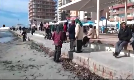 اینجا بزرگترین گورستان نوچه&zwnj;های مسعود رجوی است! / نعش کش آلبانیایی فاش کرد! + تصاویر