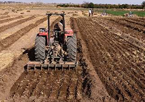 آغاز کشت های پاییزه در فارس