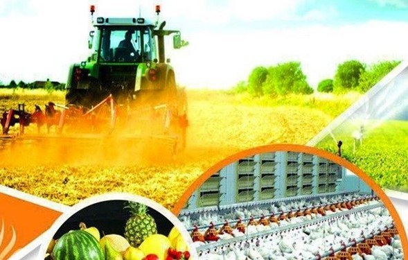 افزایش ۳۸ درصدی توزیع نهاده&zwnj;های کشاورزی در استان آذربایجان شرقی