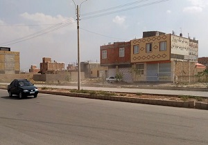 برداشت انگور مرغوب از تاکستان روستای &laquo;تکه&raquo;/ اقدام خطرناک راننده سرویس مدرسه در اهواز + فیلم و تصاویر