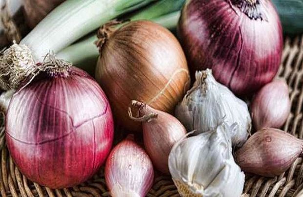 سیر و پیاز خطر ابتلا به سرطان سینه را کاهش می دهند///ثباتی