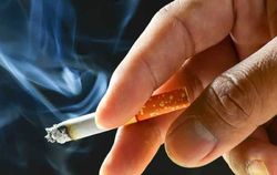 رسمیت بخشیدن دامپزشکی به تولید شیر الاغ + صوت