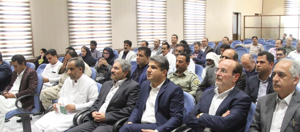 لاک پشت&zwnj;های دریایی چابهار در معرض خطر انقراض هستند