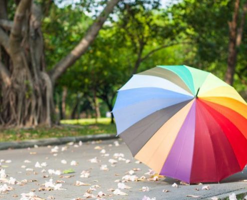 برای تهیه چتر چقدر هزینه کنیم؟ + قیمت